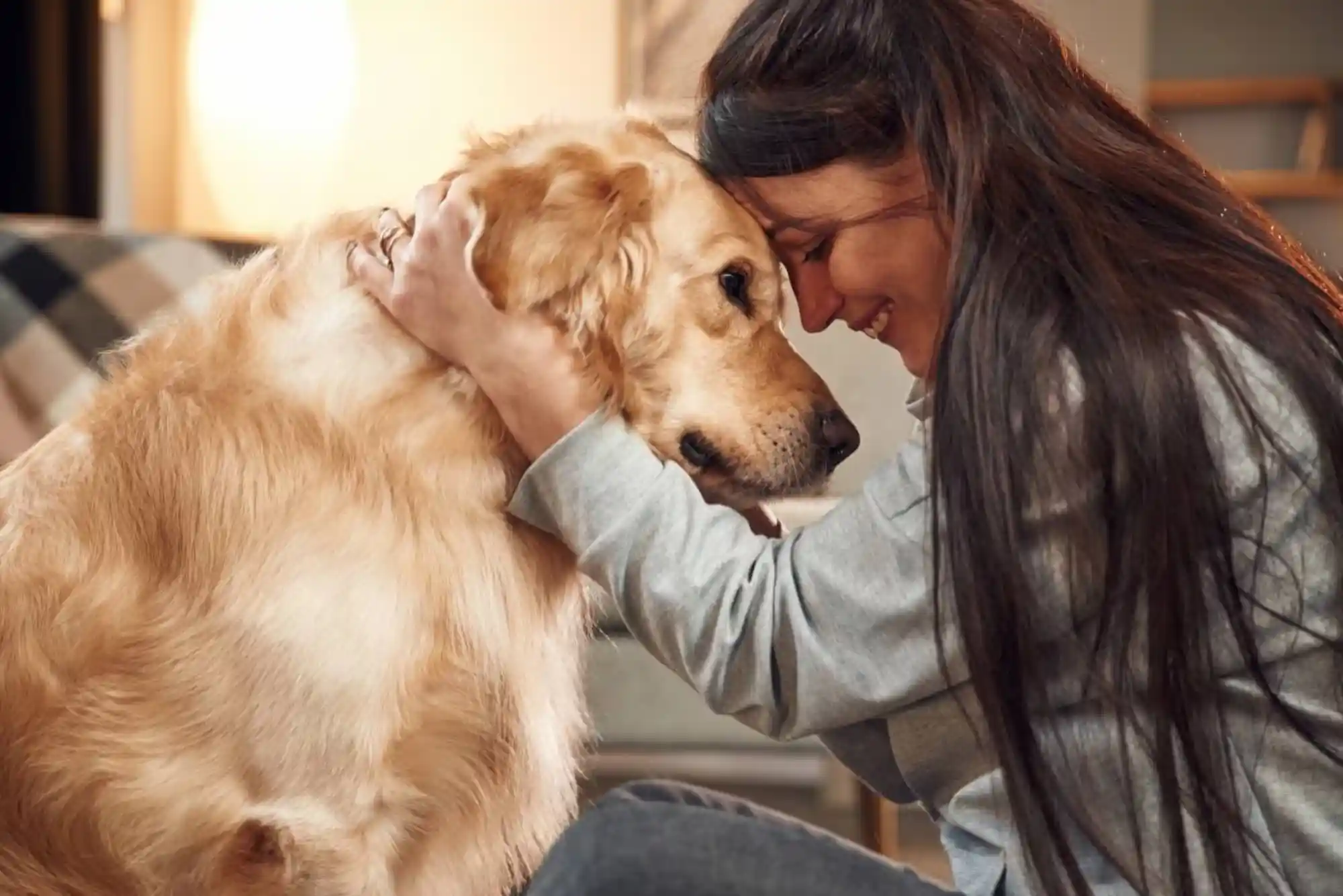 How to Desensitize Dogs to Fireworks and Thunderstorms: Sound Therapy & Thundershirts How to Desensitize Dogs to Fireworks and Thunderstorms: Sound Therapy & Thundershirts