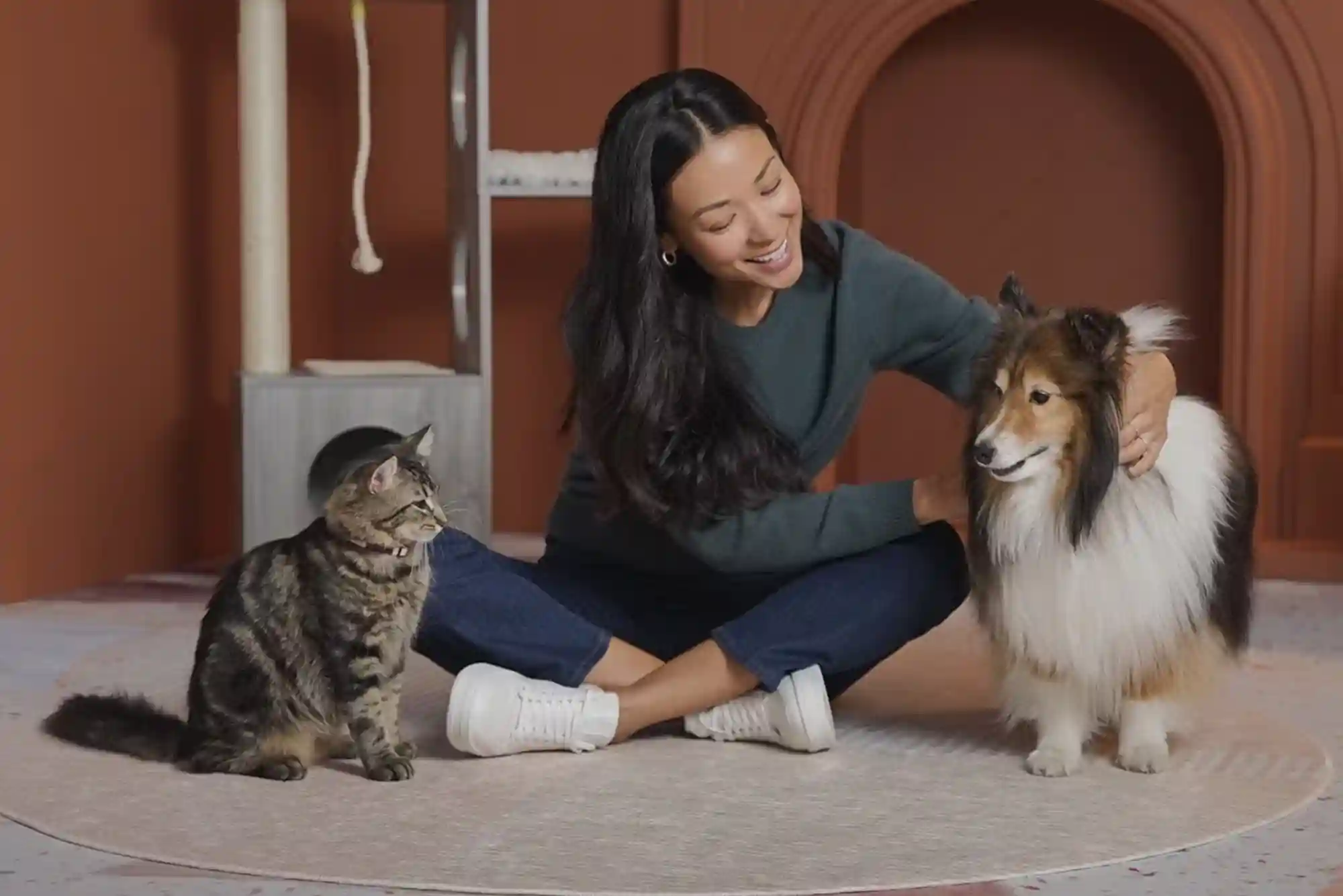 How to Introduce a New Cat to a Dog: Scent Swapping and Visual Barrier Protocols How to Introduce a New Cat to a Dog: Scent Swapping and Visual Barrier Protocols