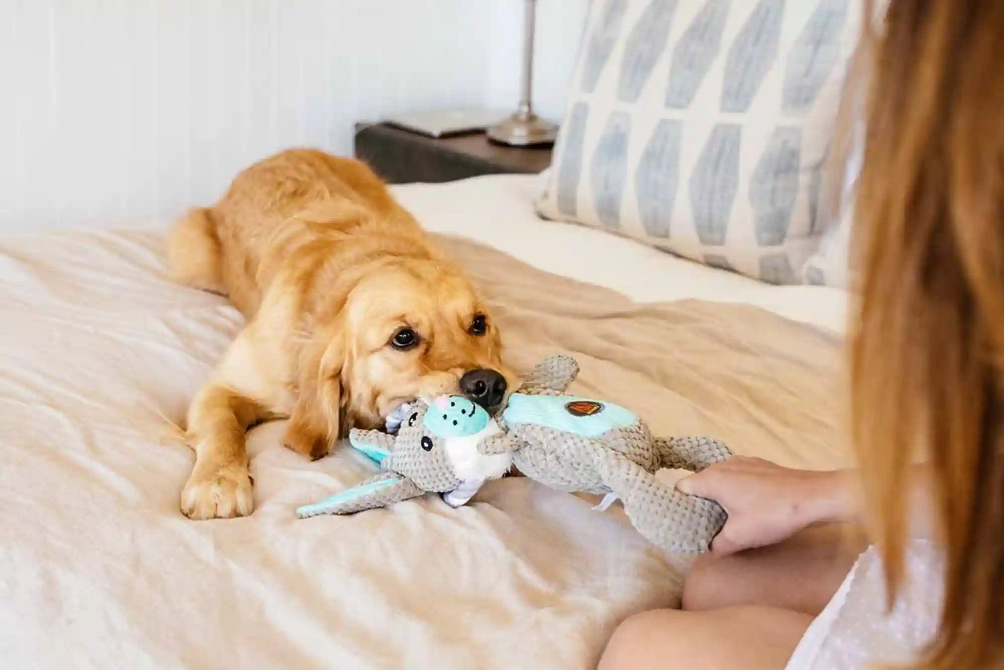 Resource Guarding in Dogs: How to Stop Food and Toy Aggression with Trade Drills Resource Guarding in Dogs: How to Stop Food and Toy Aggression with Trade Drills